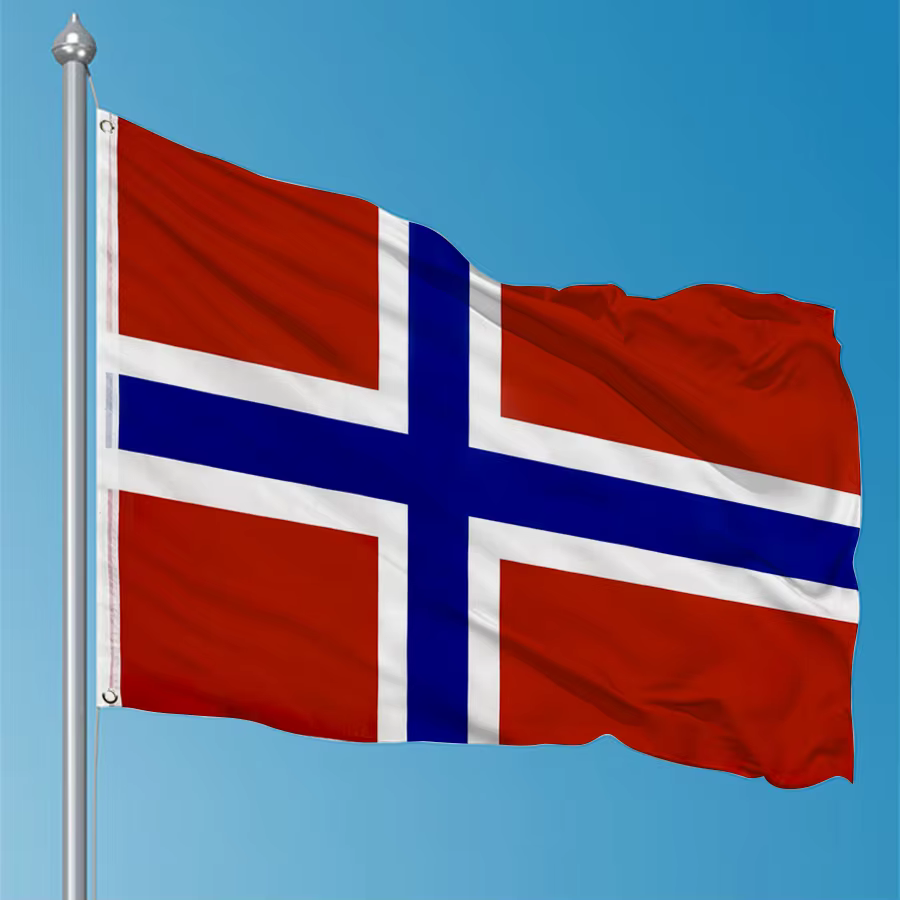 Bandera de Noruega Poliéster 90x150 cm para Exterior e Interior - imagen 2