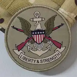 Parche táctico Liberty&Strength con velcro – Insignia moral airsoft