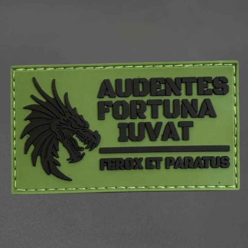 Detalle del parche con motivo de dragón