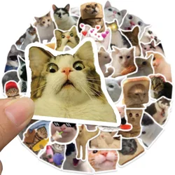 Pegatinas gato meme decorativas para cuaderno y portátil – Infantil