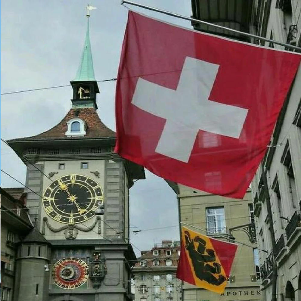 Bandera decorativa de Suiza en tela – Colgante exterior para pared o jardín - imagen 5