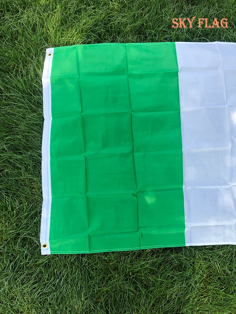 Bandera colgante de Irlanda en poliéster verde blanco naranja - imagen 2