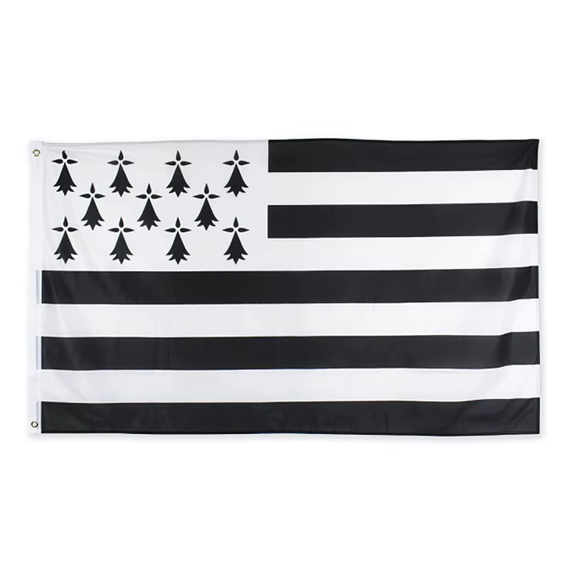 FLAGLAND Bandera Breizh Bretagne 90x150cm – Identificación Regional - imagen 2