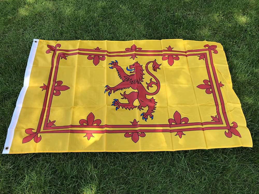 Banderín de Escocia León Rampant en Poliéster Ripstop - imagen 5