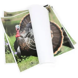 Pack dianas FITA arco 40x40cm – entrenamiento profesional