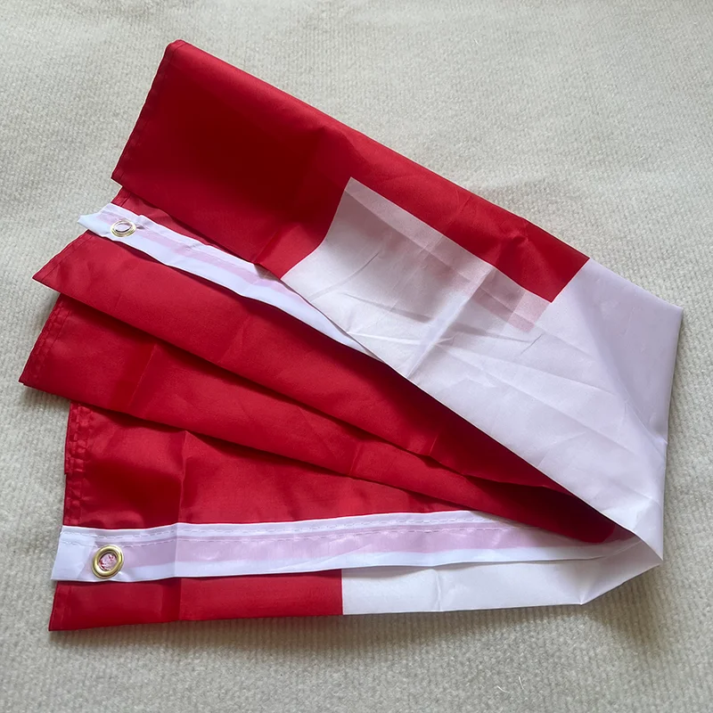 Bandera de Suiza colgante – Poliestero decorativo para pared o ventana - imagen 2