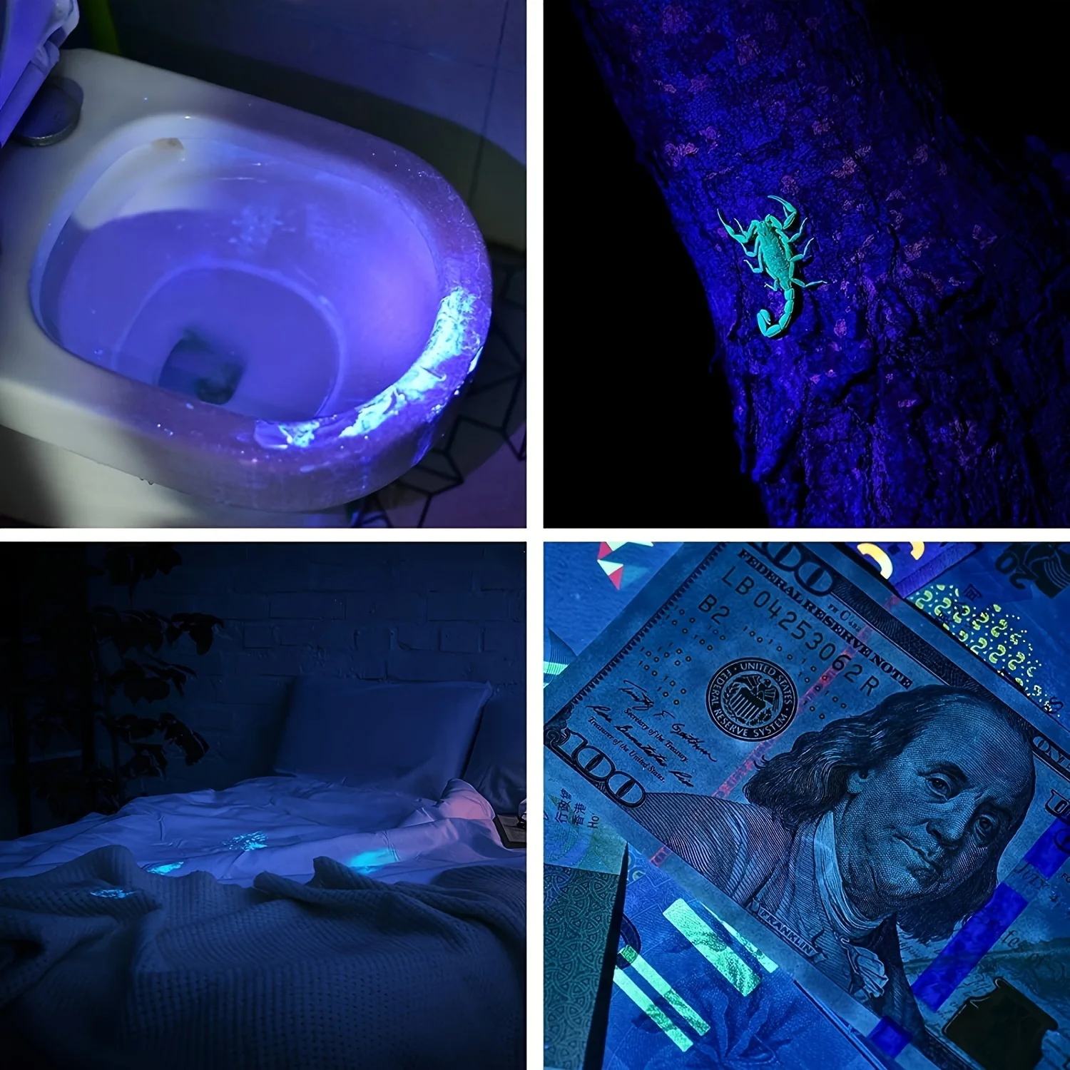 Linterna UV USB recargable con Zoom 395/365 nm - Fluorescencia - imagen 5