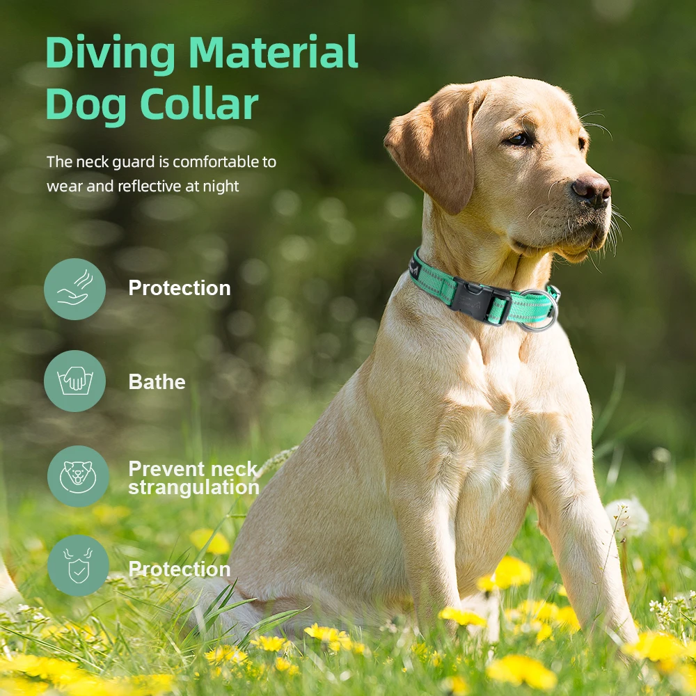 Collar Táctico Reflectante Neopreno – Perros Guía y Servicio - imagen 5