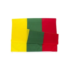 Bandera Lituania LTU en poliéster para colgar
