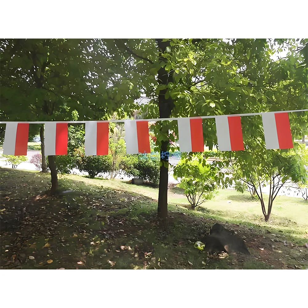 Banderín Polonia de poliéster – guirnalda decorativa para fiesta - imagen 3