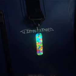 Colgante EDC autoluminoso resina 11 colores con llavero y señalización