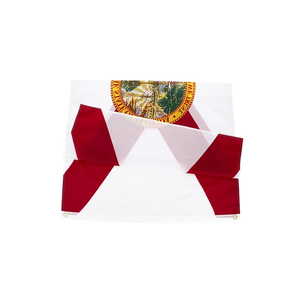 FLAGLINK Bandera de Florida de Estados Unidos para decoración - imagen 4