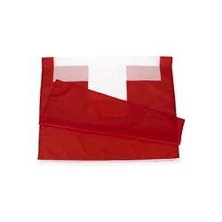 Bandera decorativa de Suiza en tela – Colgante exterior para pared o jardín