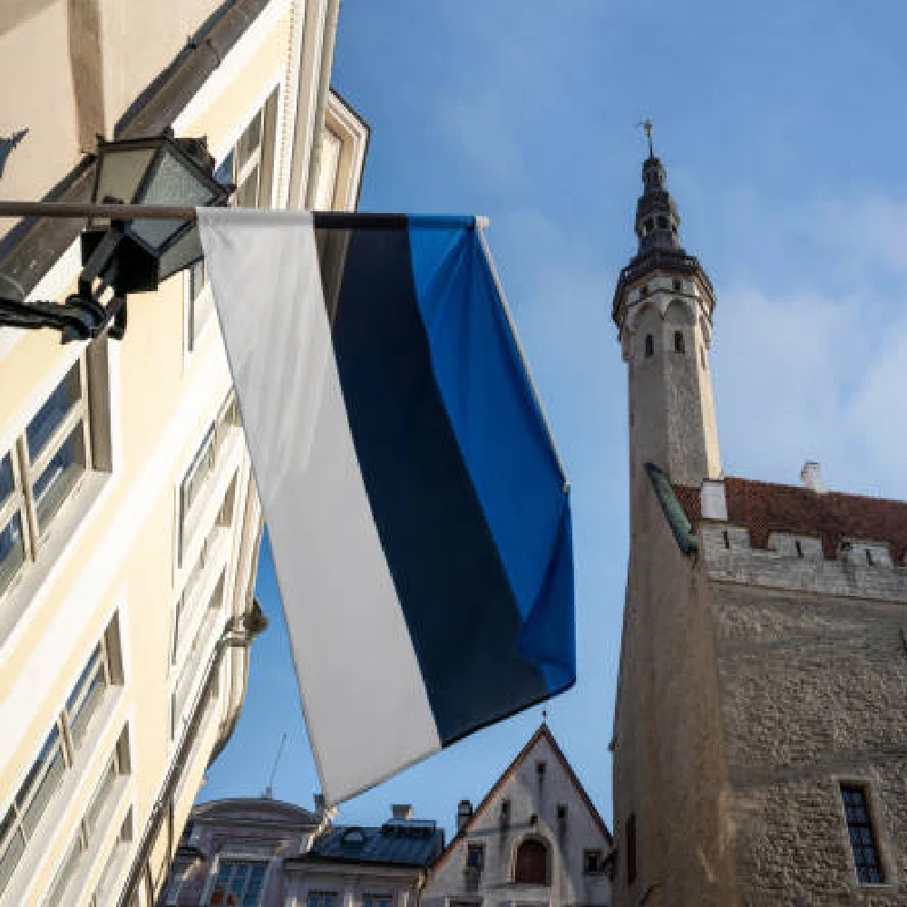 Xiangying bandera República de Estonia para decoración colgante - imagen 2
