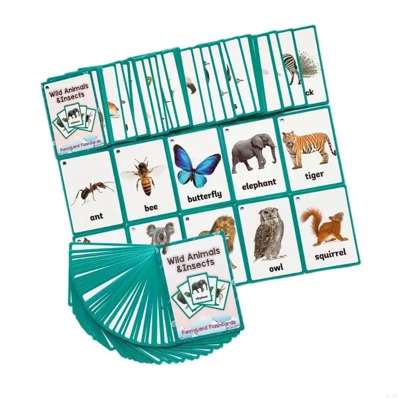 Tarjetas flash de insectos salvajes