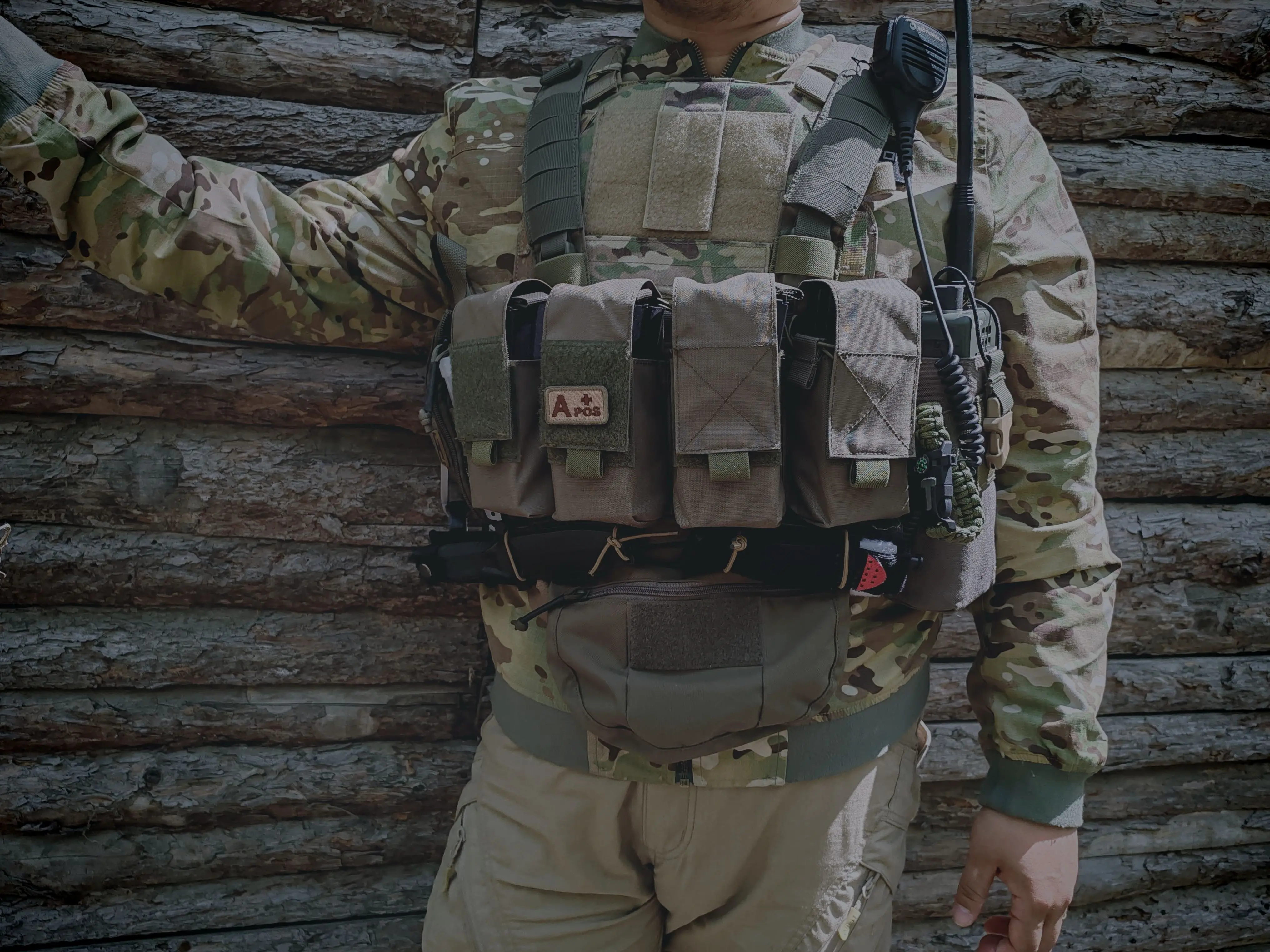 Componentes y estructura del CQ-81