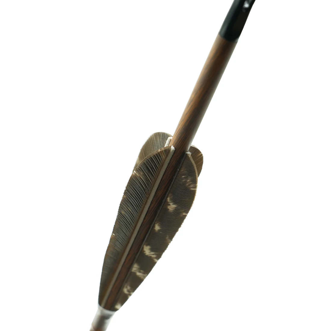 Linkboy Flechas de carbono con pluma pavo para caza en arco compuesto