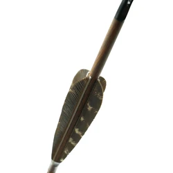 Linkboy Flechas de carbono con pluma pavo para caza en arco compuesto