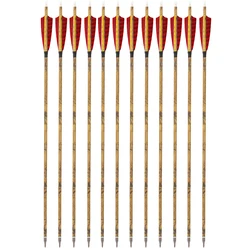 Flechas de carbono con plumas naturales y puntas removibles