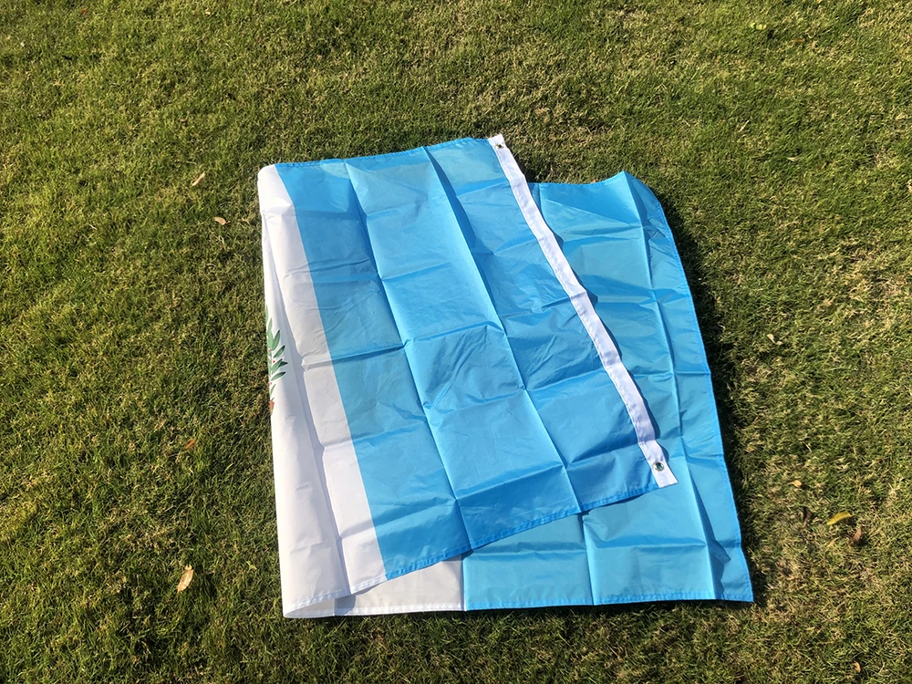 Bandera Guatemala 90x150cm – Poliéster resistente para exterior - imagen 4