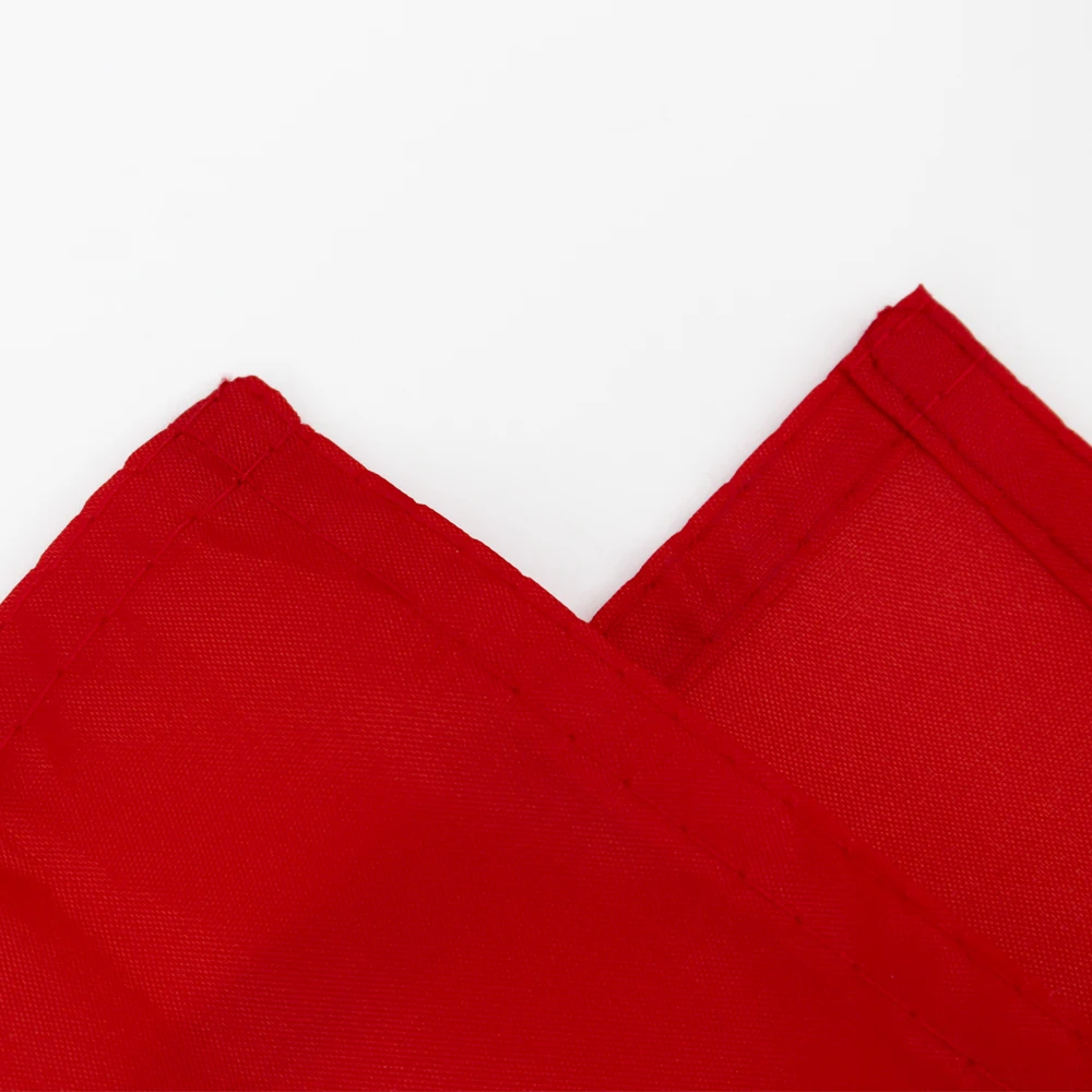 Bandera decorativa de Suiza en tela – Colgante exterior para pared o jardín - imagen 3