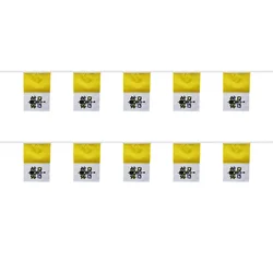 Banderas Vaticano pack decorativo eventos religiosos