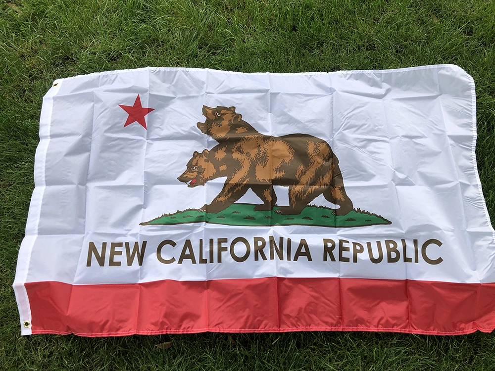 Bandera California de poliéster doble cara impresa - imagen 3