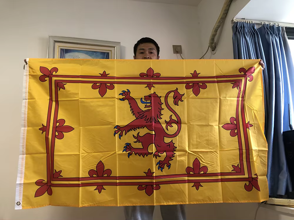 Banderín de Escocia León Rampant en Poliéster Ripstop - imagen 3