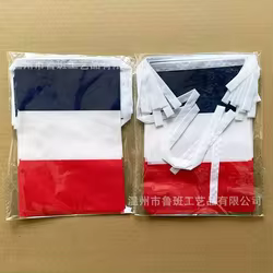 Banderines de Francia guirnalda para decoración fiesta y eventos