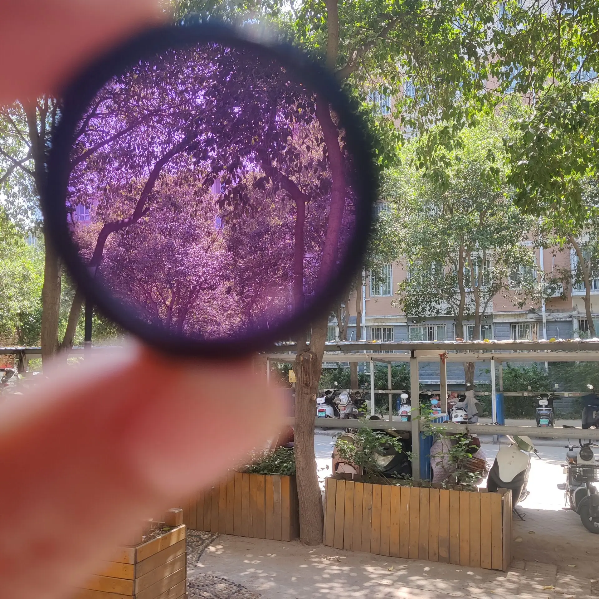 Vista del filtro morado y acabados del ocular