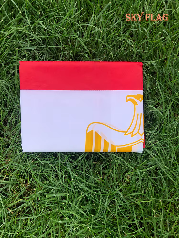 SKY Bandera de Egipto de poliéster de doble cara - imagen 3