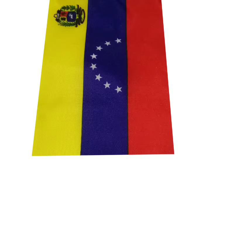 Banderín militar Argentina ripstop exterior insignia de colección - imagen 5