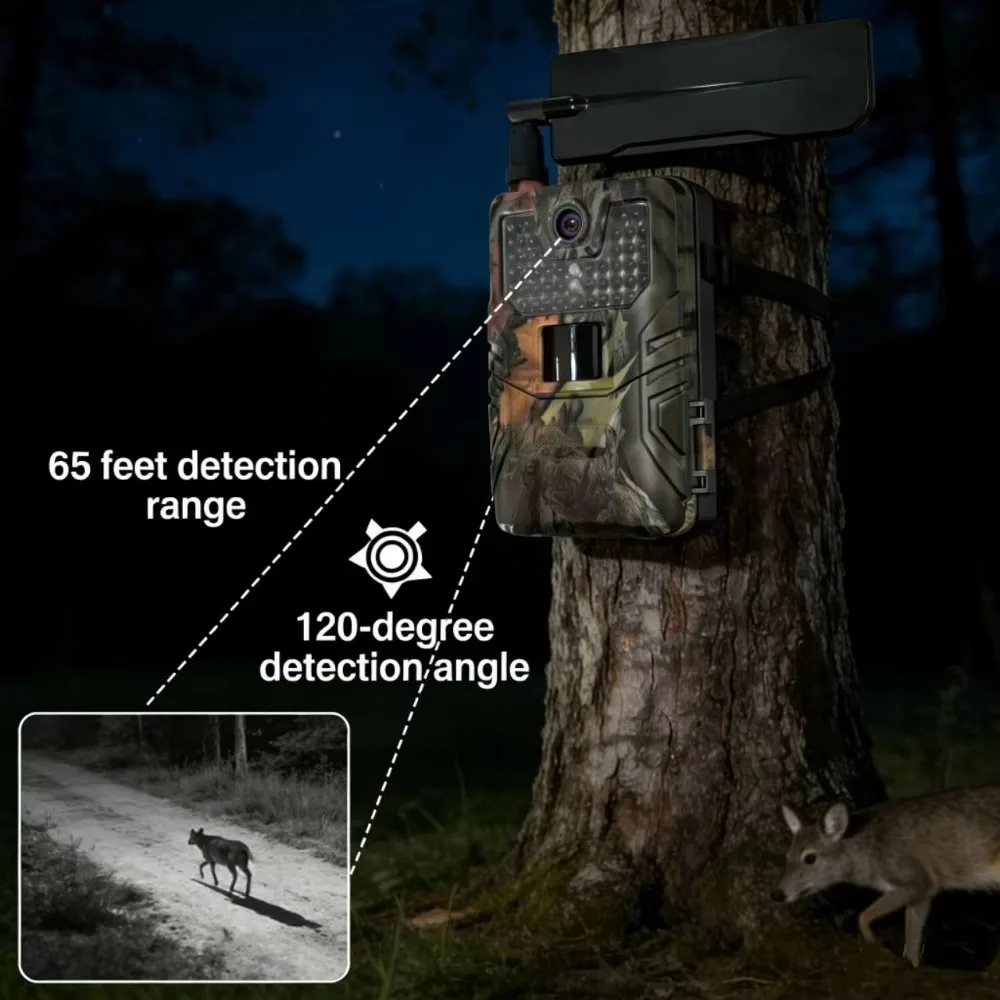 Cámara de fototrampeo con visión nocturna y detección por movimiento - imagen 3
