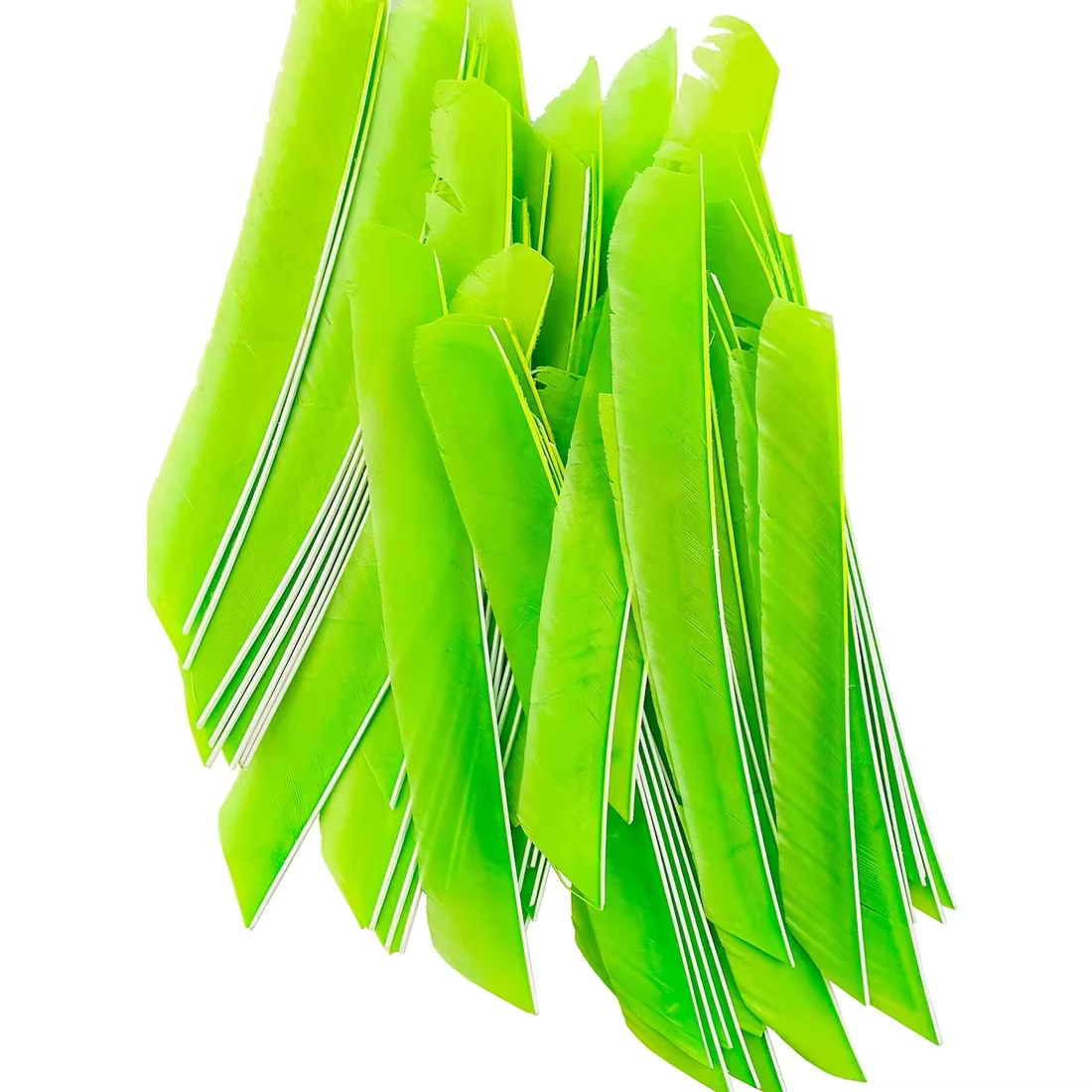 Plumas de flecha arco pavo real – Ala derecha 18-25 cm