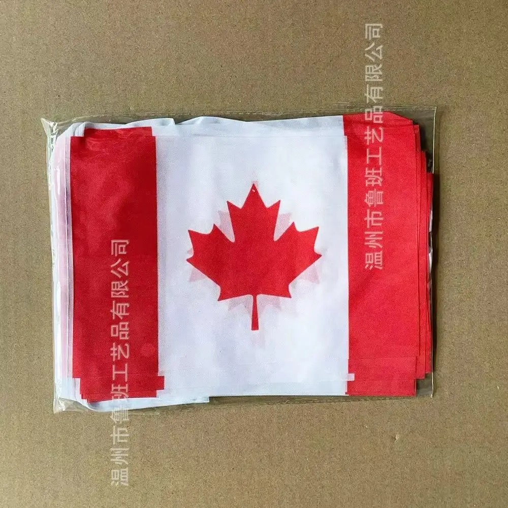 Banderines de Canadá decorativos para exterior e interior - imagen 4