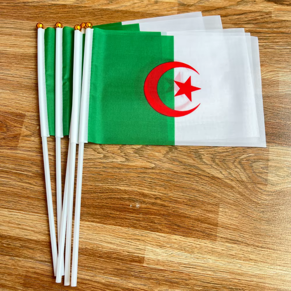 Bandera argelina de mano en palo plástico para uso al aire libre - imagen 3