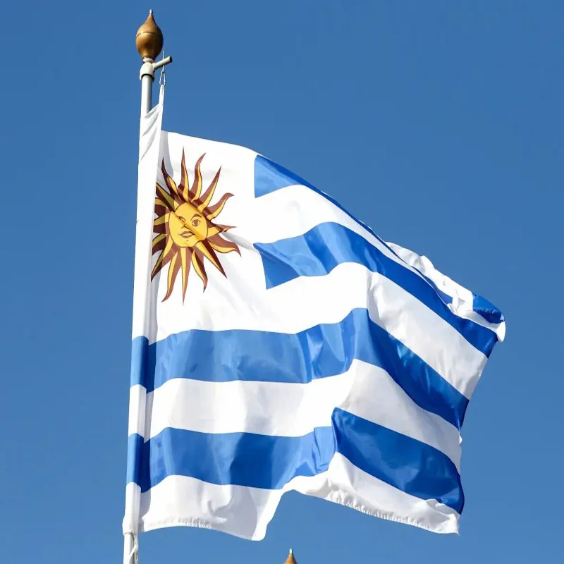 Bandera nacional Uruguay resistente para exterior 90x150 cm - imagen 2