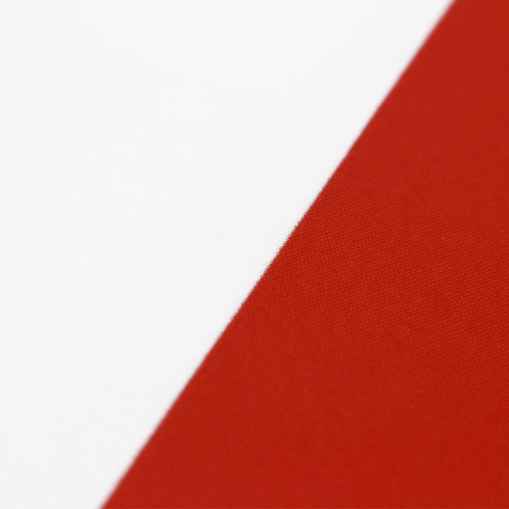 Bandera Polonia bordada Thuringia – Banderín militar surplus - imagen 3