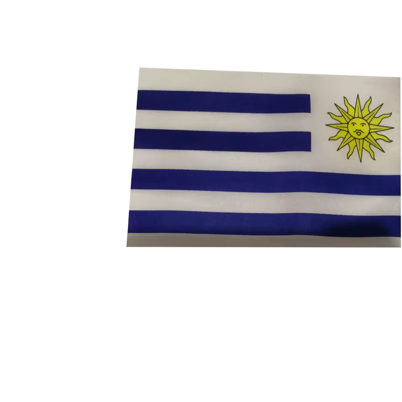 Bandera de Uruguay ondulada a mano para exterior - imagen 3