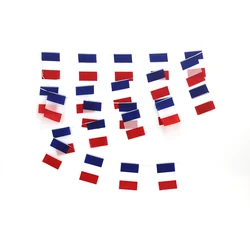 FLAGLINK Parche bandera Francia con velcro táctico MOLLE