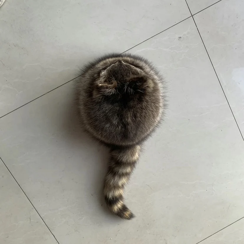 Gorra táctica camuflaje peluche para caza, aire libre y disfraz - imagen 2