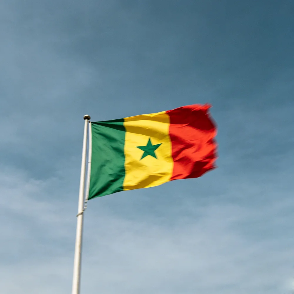 Bandera Senegal 90x150 cm para exterior y actos - imagen 3