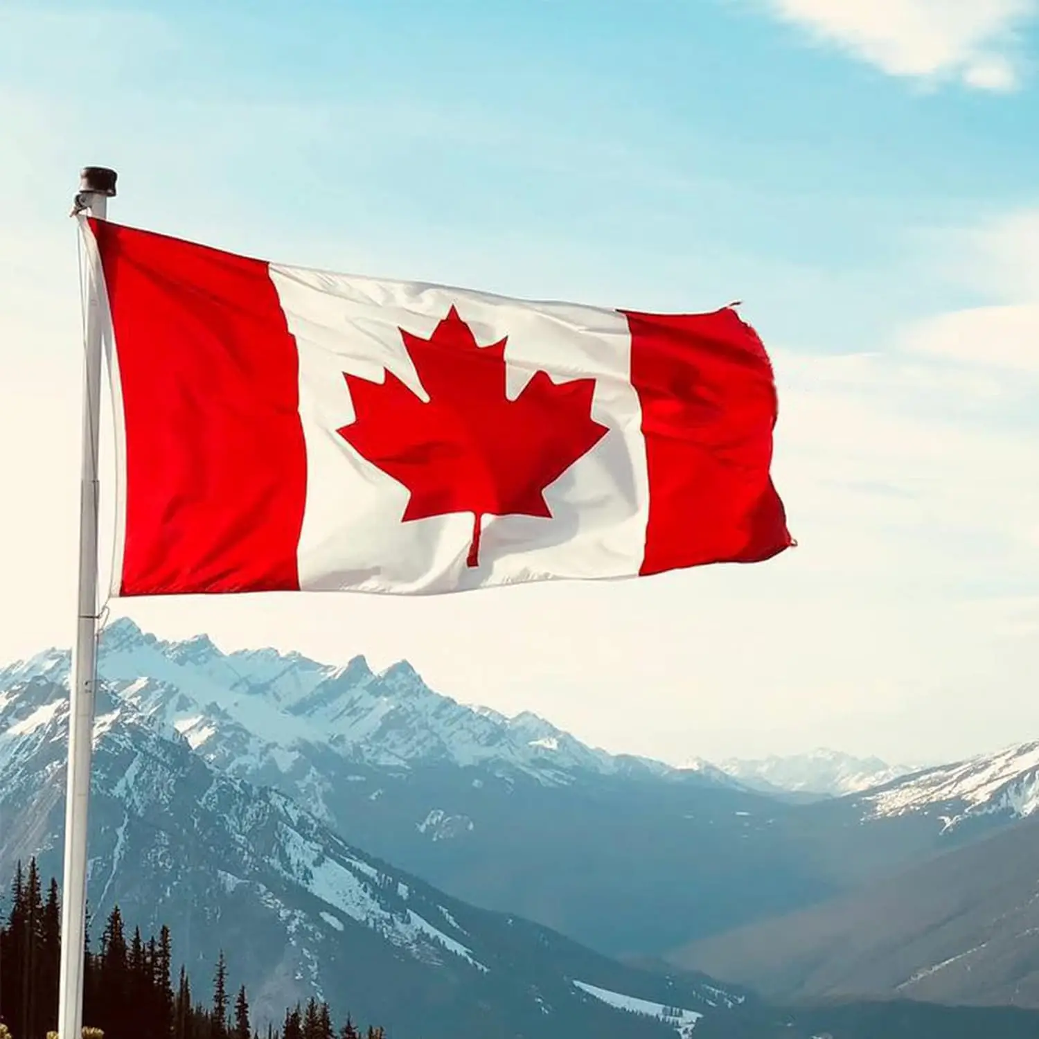 Bandera de Canadá bordada premium con ojales de latón FLAGLINK - imagen 5