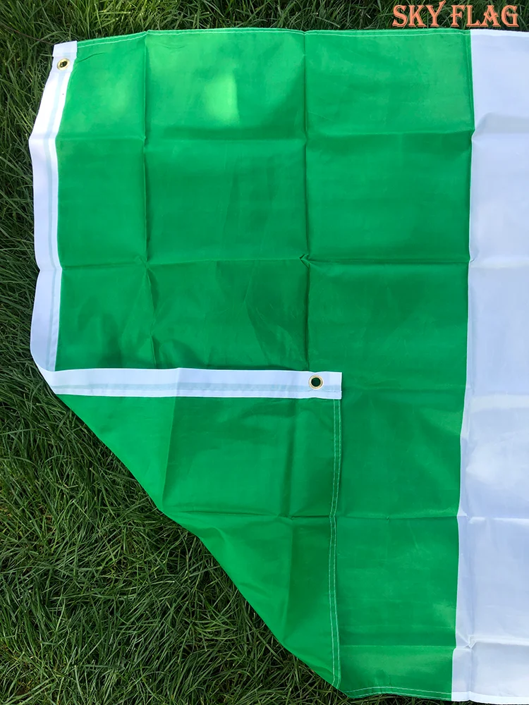 Bandera colgante de Irlanda en poliéster verde blanco naranja - imagen 3