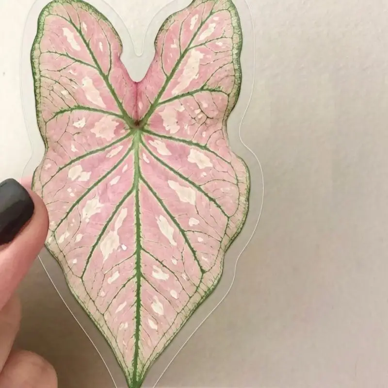 Etiquetas transparentes de hojas y plantas para álbumes y cuadernos - imagen 5