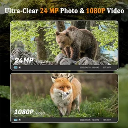 Cámara de caza WiFi visión nocturna y detección movimiento