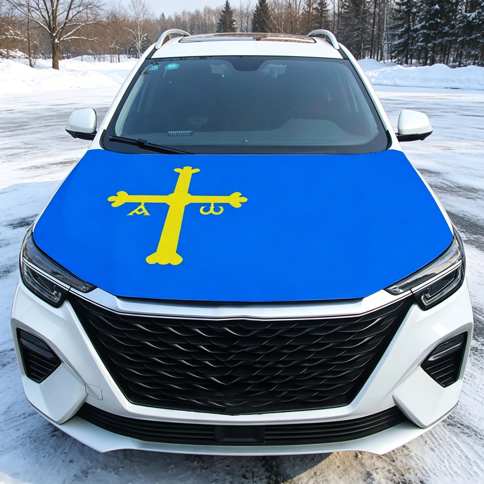 Funda para capó coche con bandera de Asturias, vehículo - imagen 5