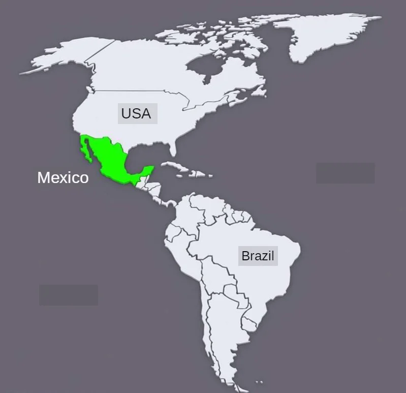 Insignia Chile 8x5 cm