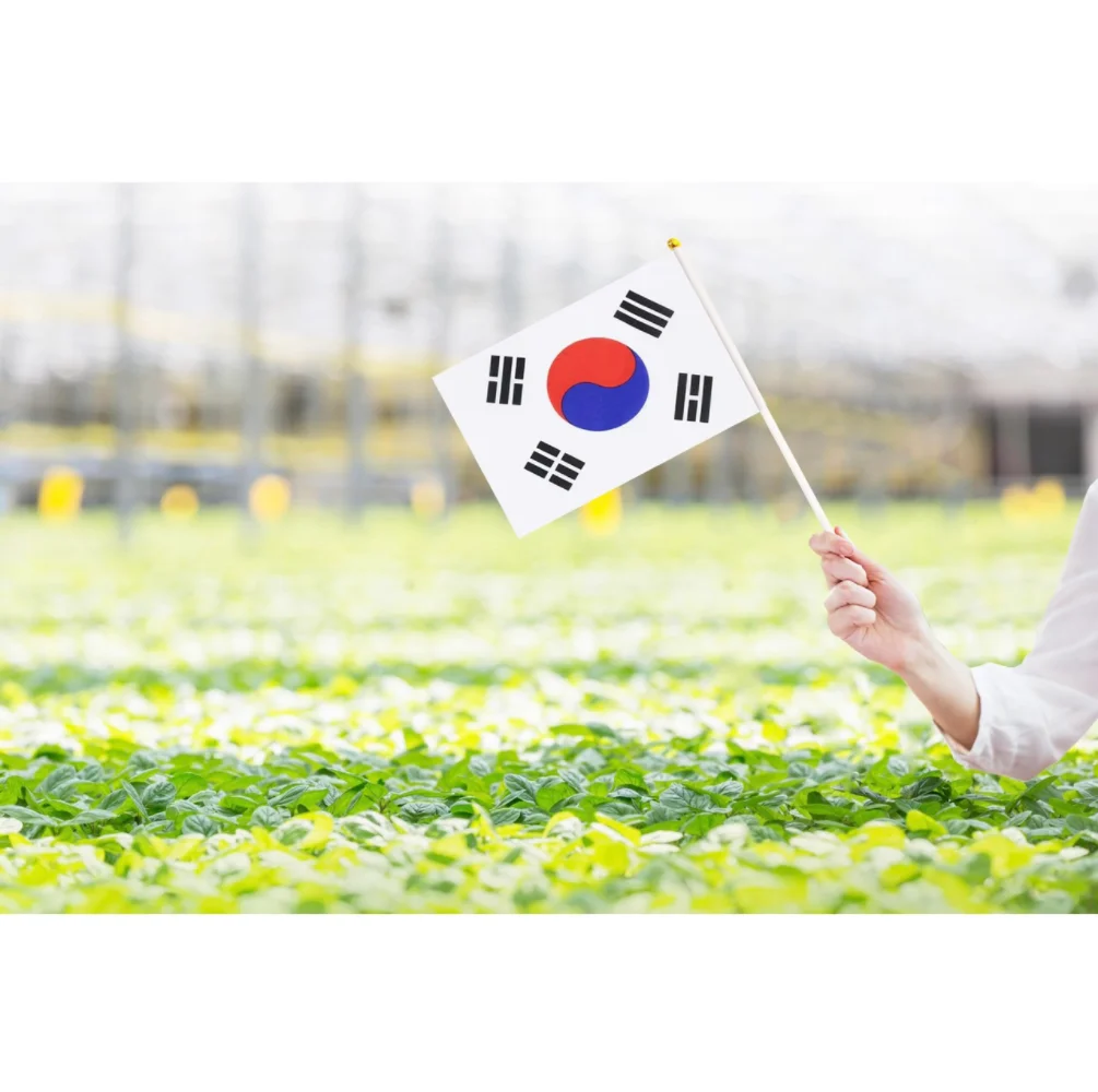 Bandera coreana Kor – bandera de Corea del Sur para desfile y deporte - imagen 4