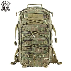 Parche bordado palabras académico – Colección insignia militar cotton